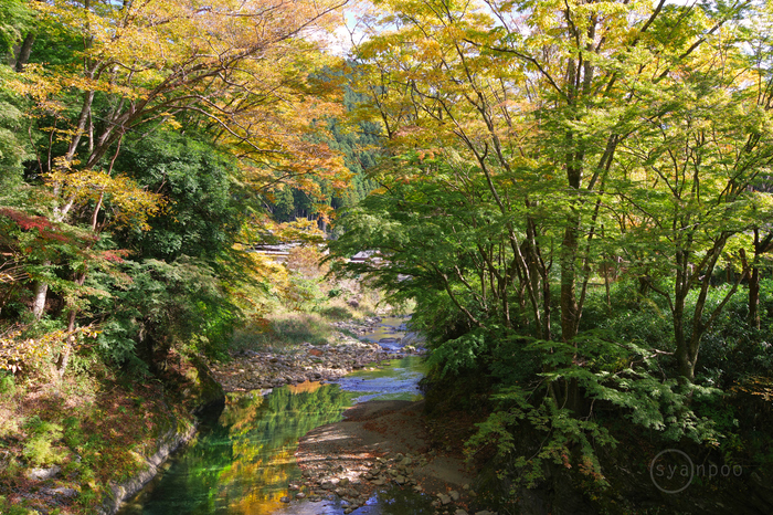 お写ん歩: smc PENTAX FA 77mm F1.8 Limitedアーカイブ